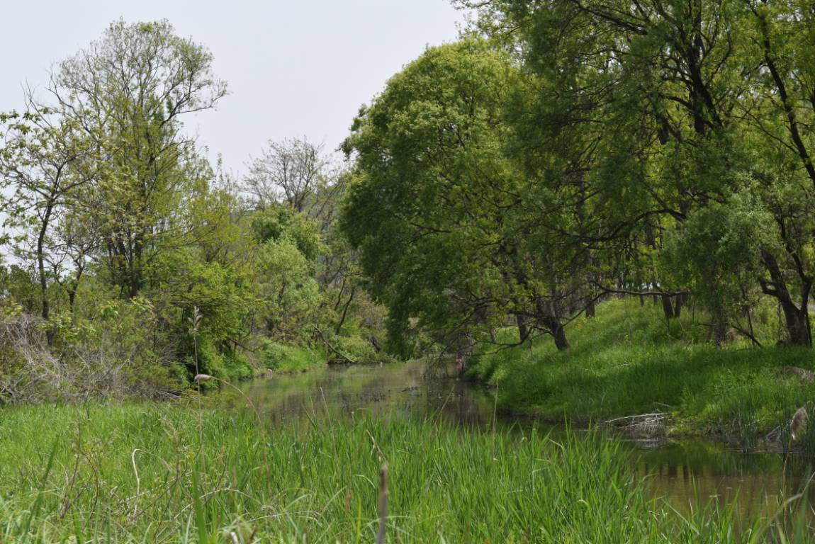 DSC_1082.JPG