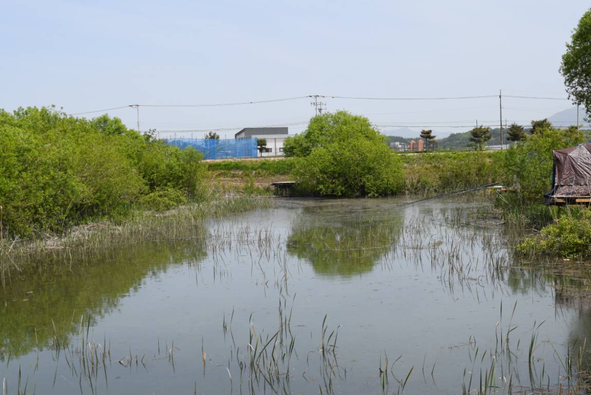 DSC_1075.JPG