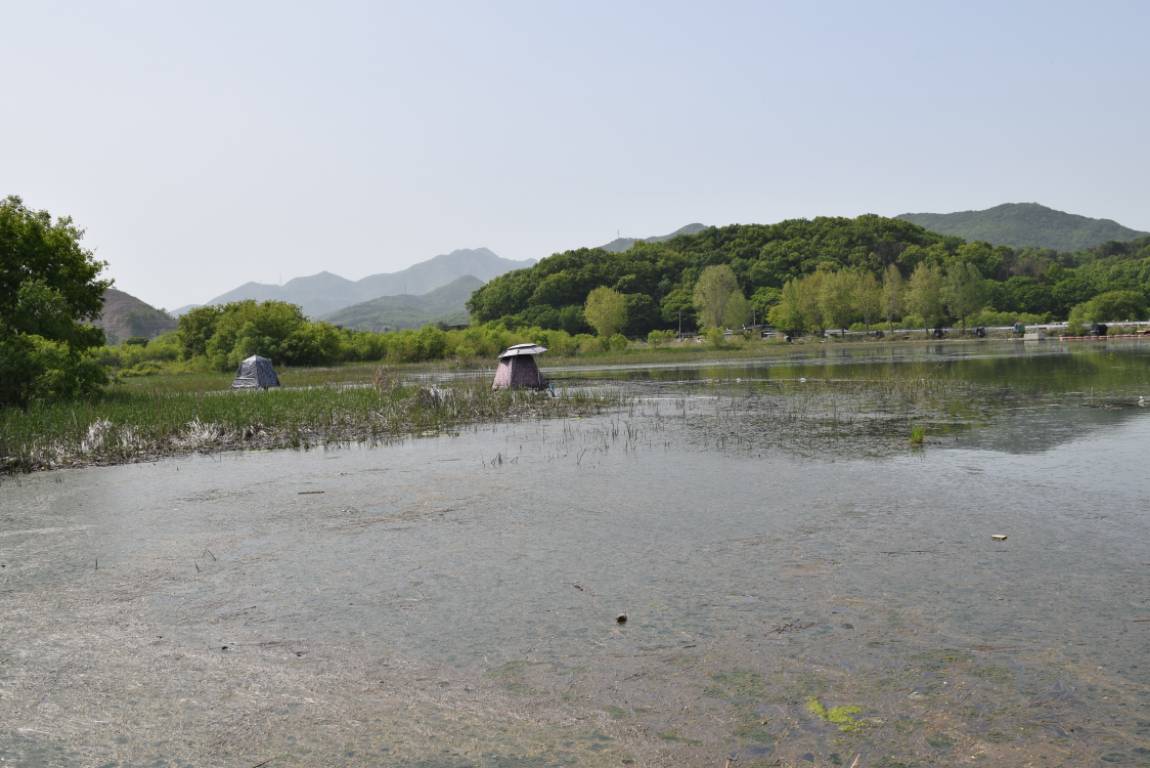 DSC_1085.JPG