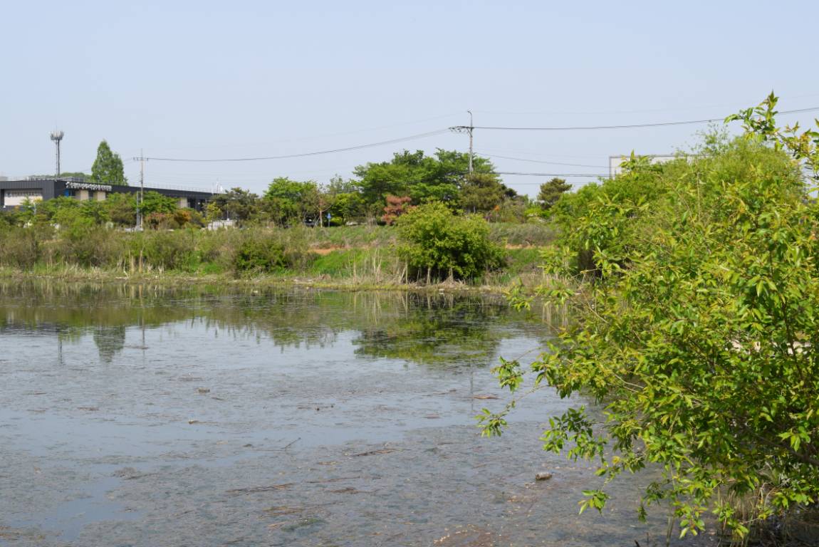 DSC_1086.JPG