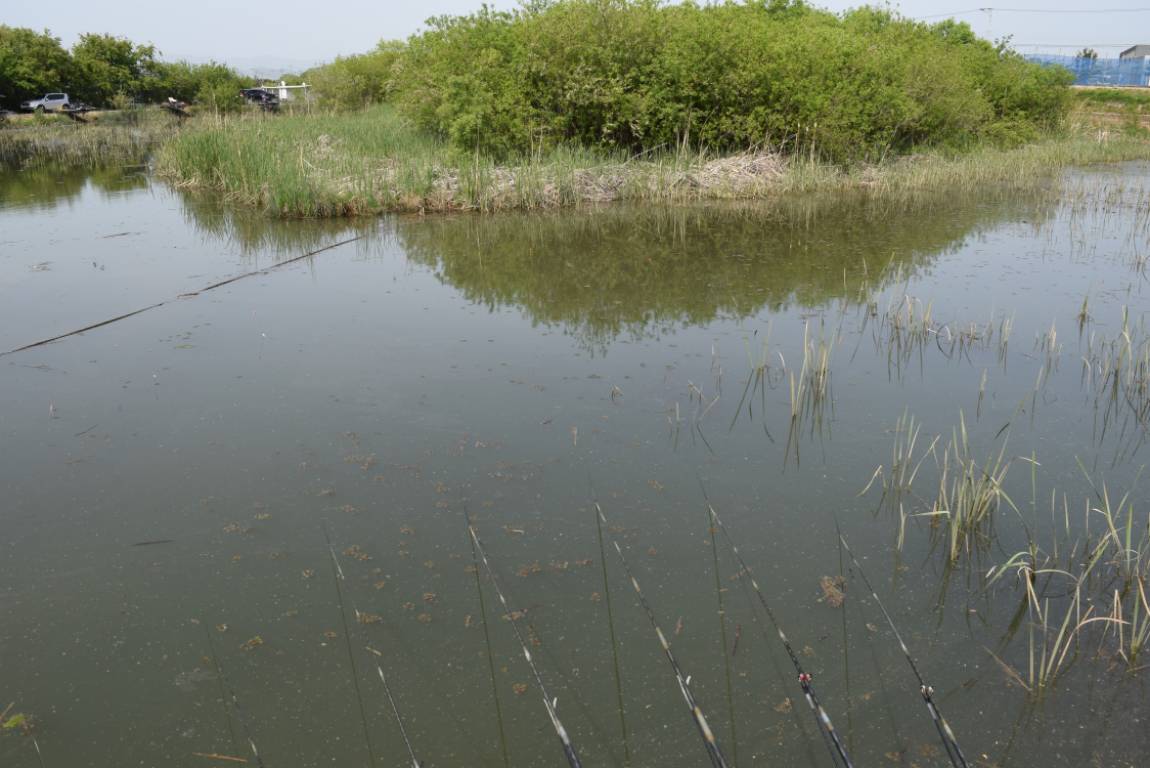 DSC_1094.JPG