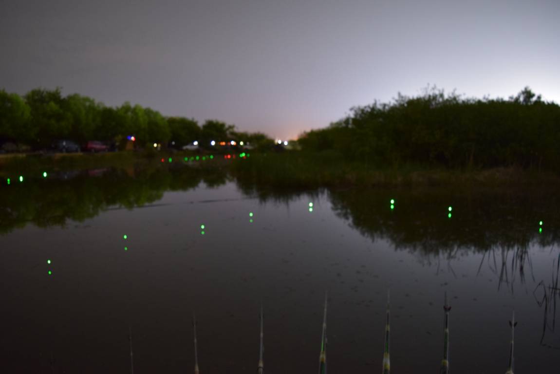 DSC_1097.JPG