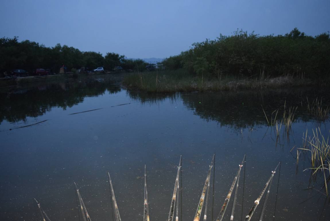 DSC_1100.JPG
