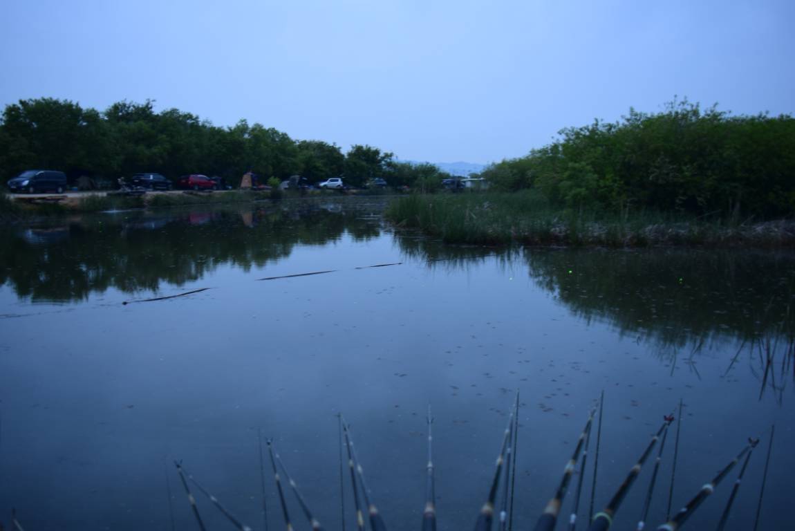 DSC_1102.JPG