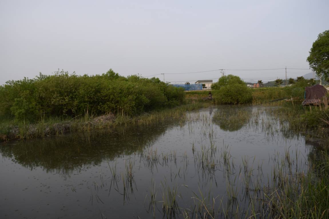 DSC_1095.JPG