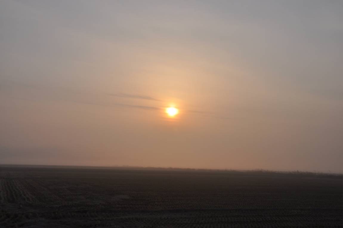DSC_0001.JPG
