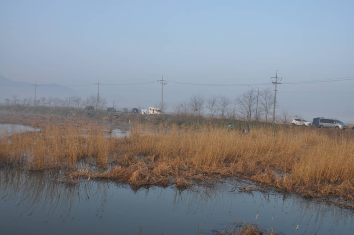 DSC_0003.JPG