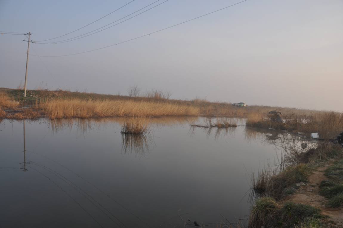 DSC_0012.JPG