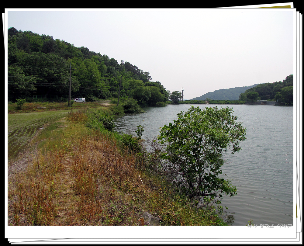 IMG_8737.jpg
