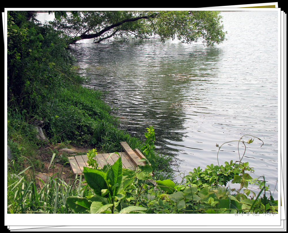 IMG_8739.jpg