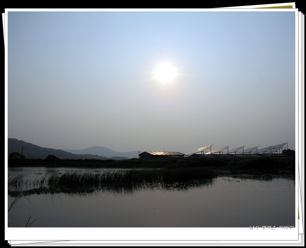 IMG_8765.jpg
