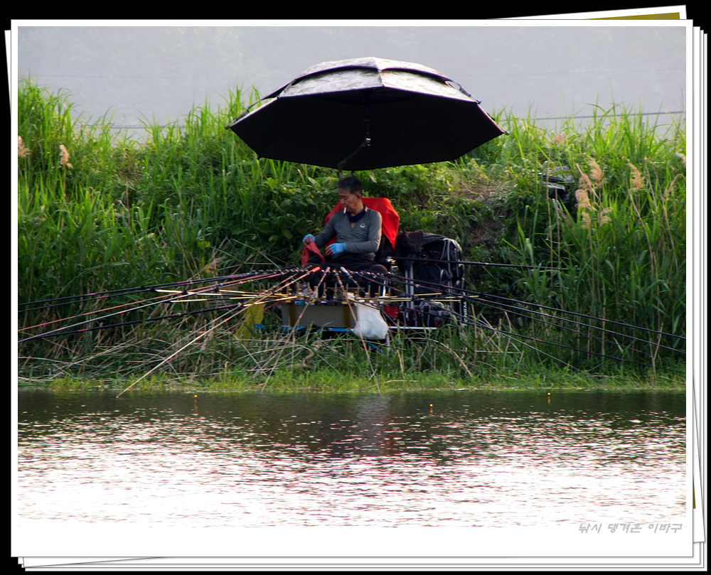 IMG_8766.jpg