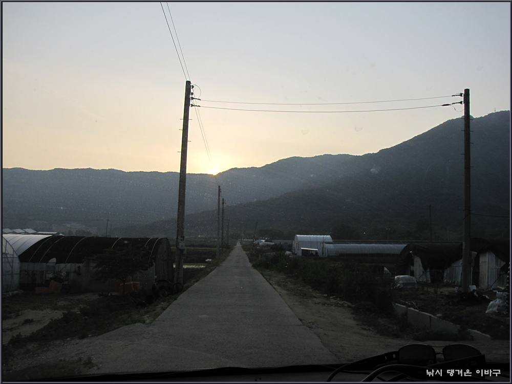 IMG_8870.jpg