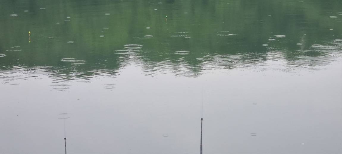 20250602_085341.jpg