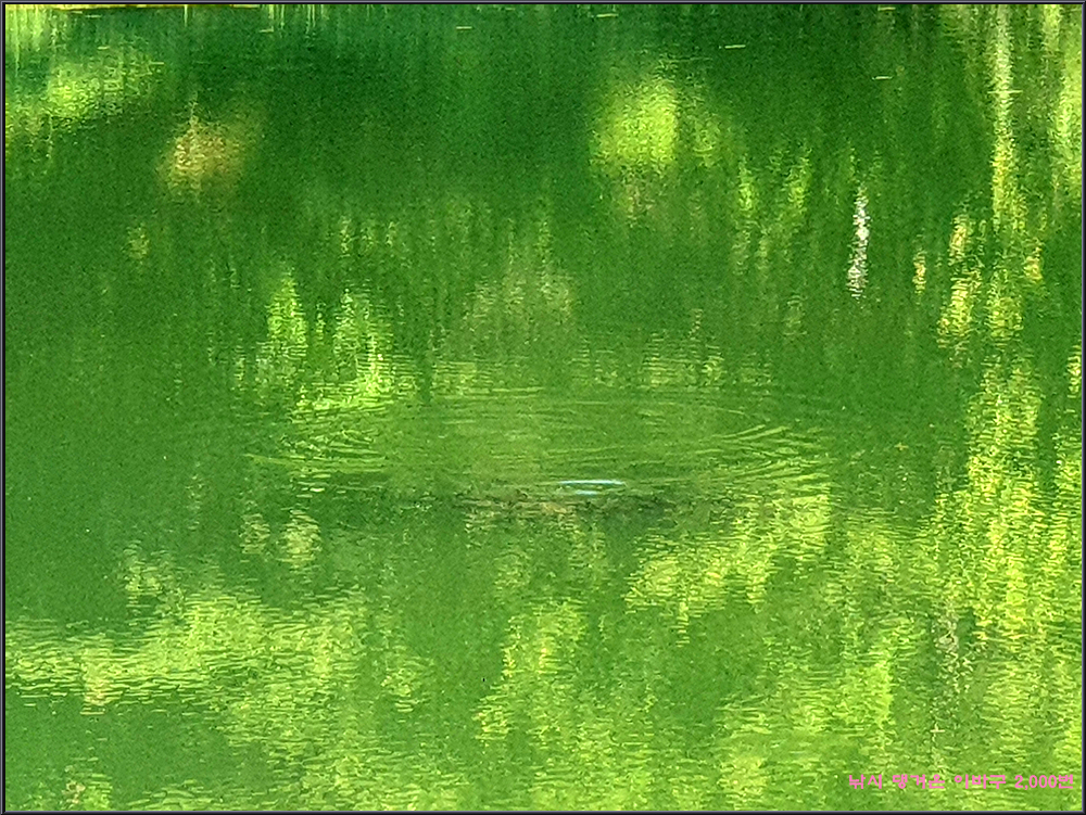 20250605_081913.jpg
