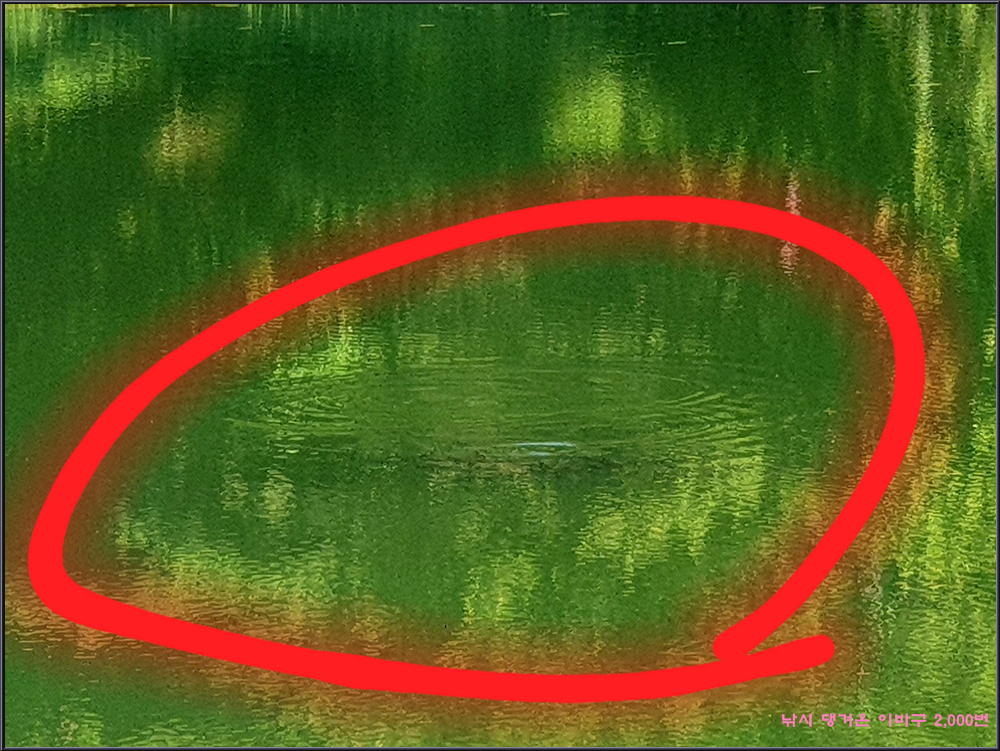 20250605_082001.jpg