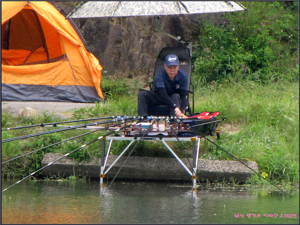 IMG_8939.jpg
