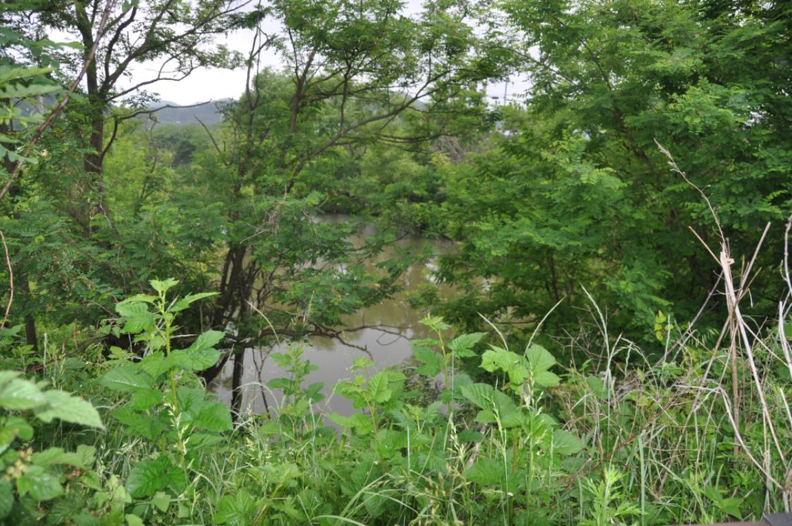 DSC_0022.JPG