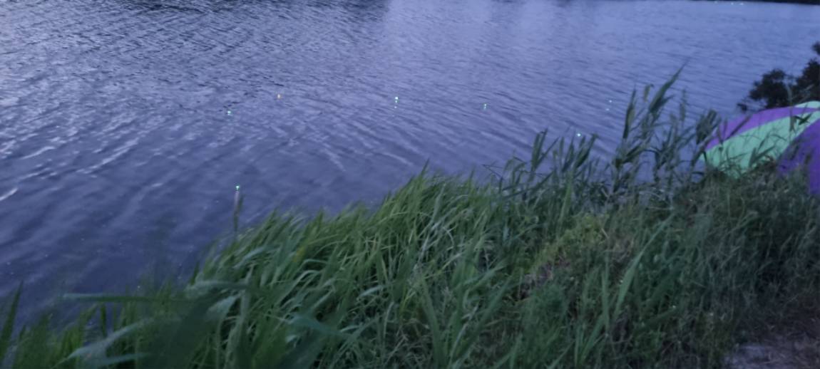 20250610_201312.jpg
