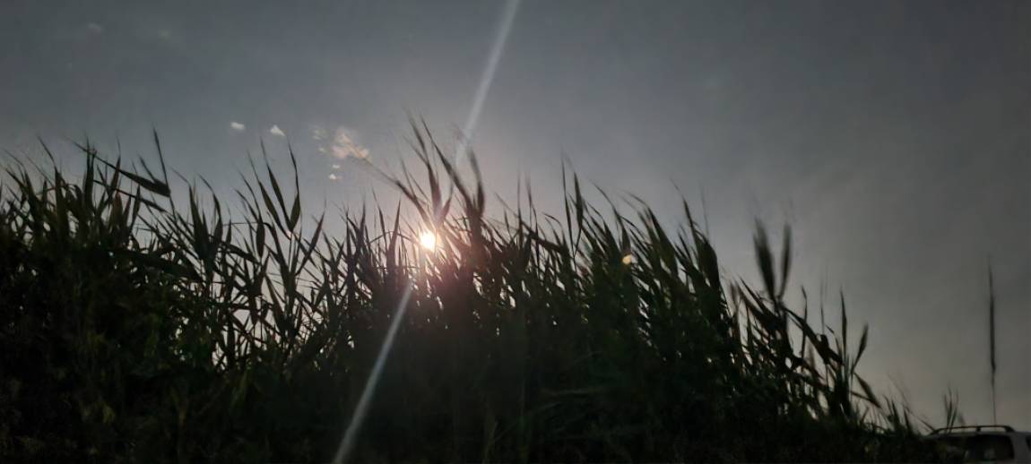 20250611_013739.jpg