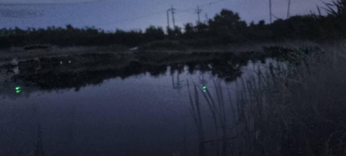 20250612_202525.jpg