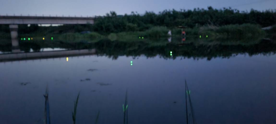 20250612_202529.jpg