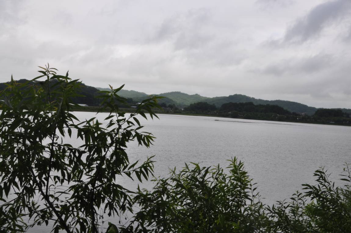DSC_0035.JPG