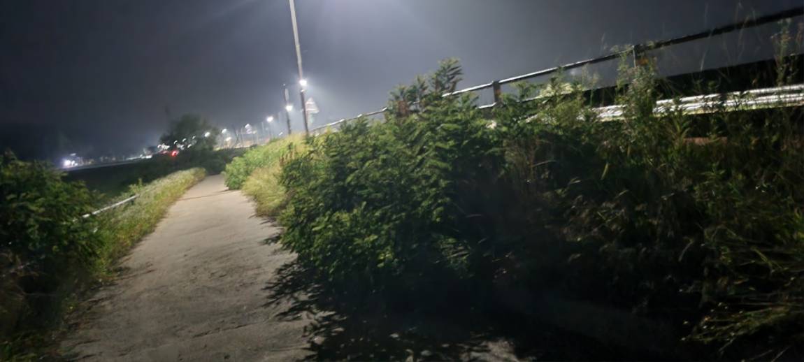 20250624_035457.jpg