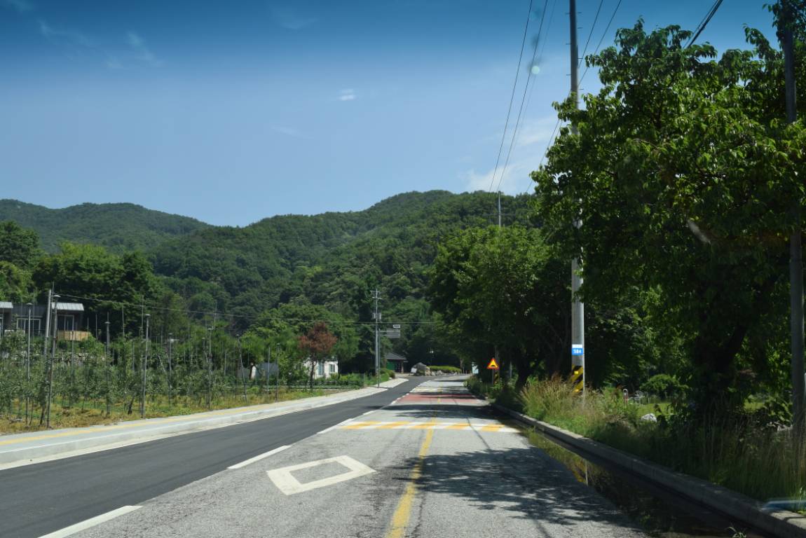 DSC_1130[1].JPG