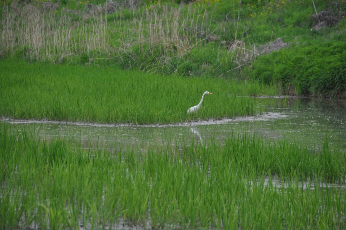 DSC_0044.JPG