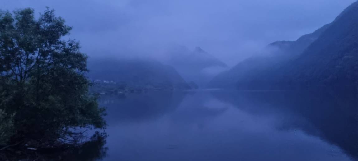 20250626_045115.jpg