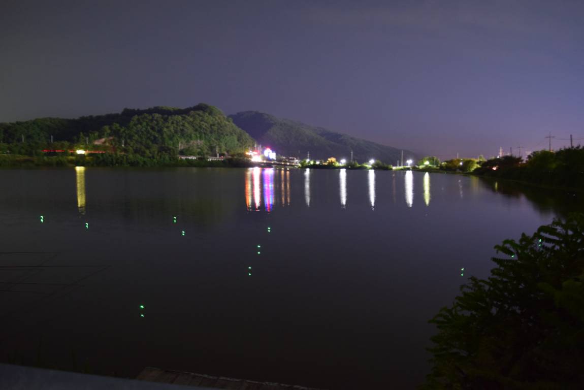 DSC_1188[1].JPG