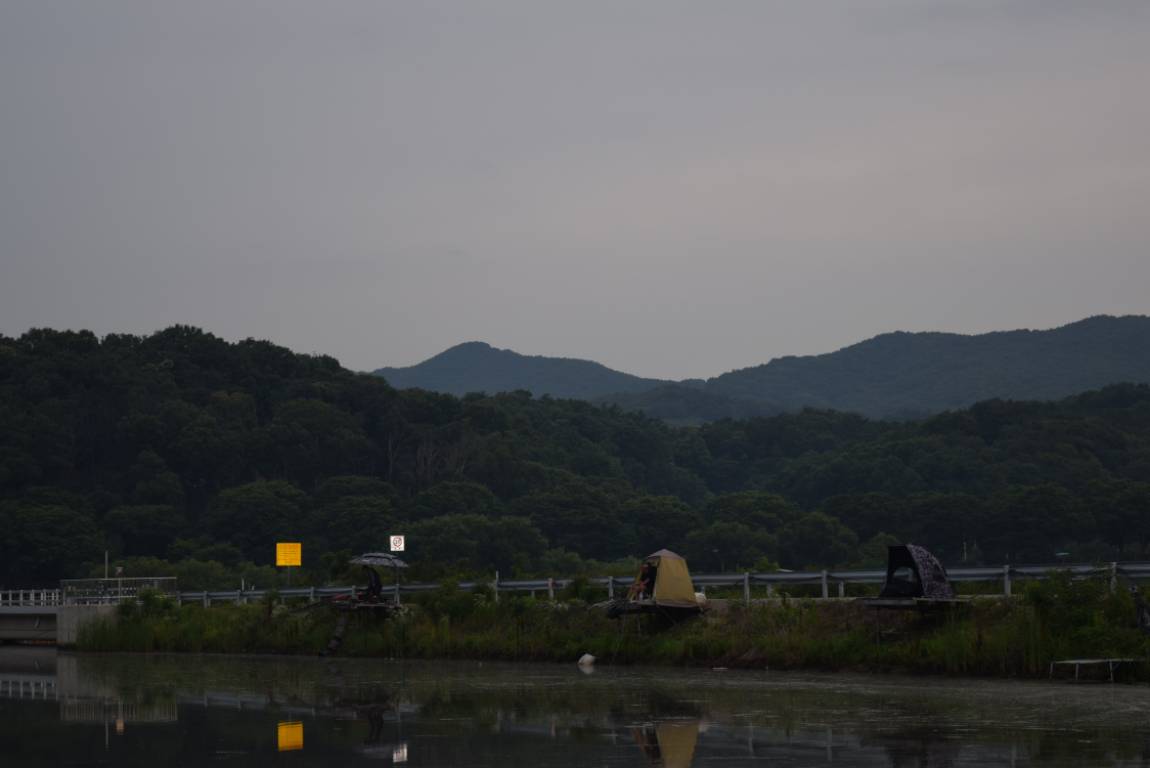 DSC_1196[1].JPG