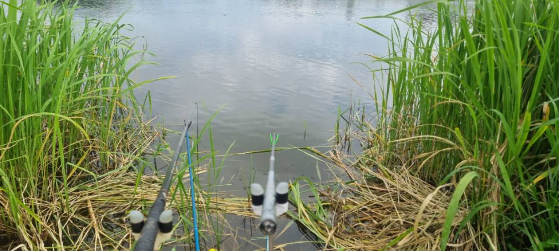 20250701_090527.jpg