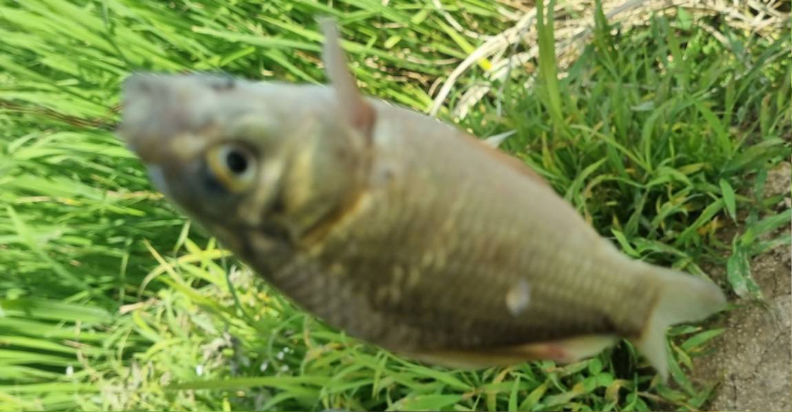 20250701_084229.jpg