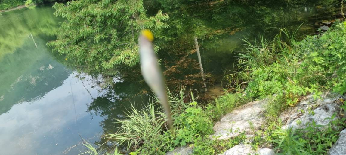 20250703_151236.jpg