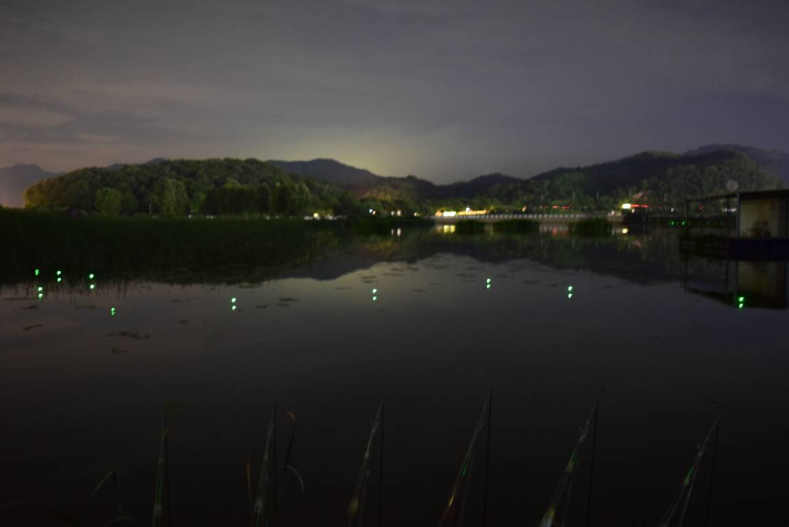 DSC_1218[1].JPG