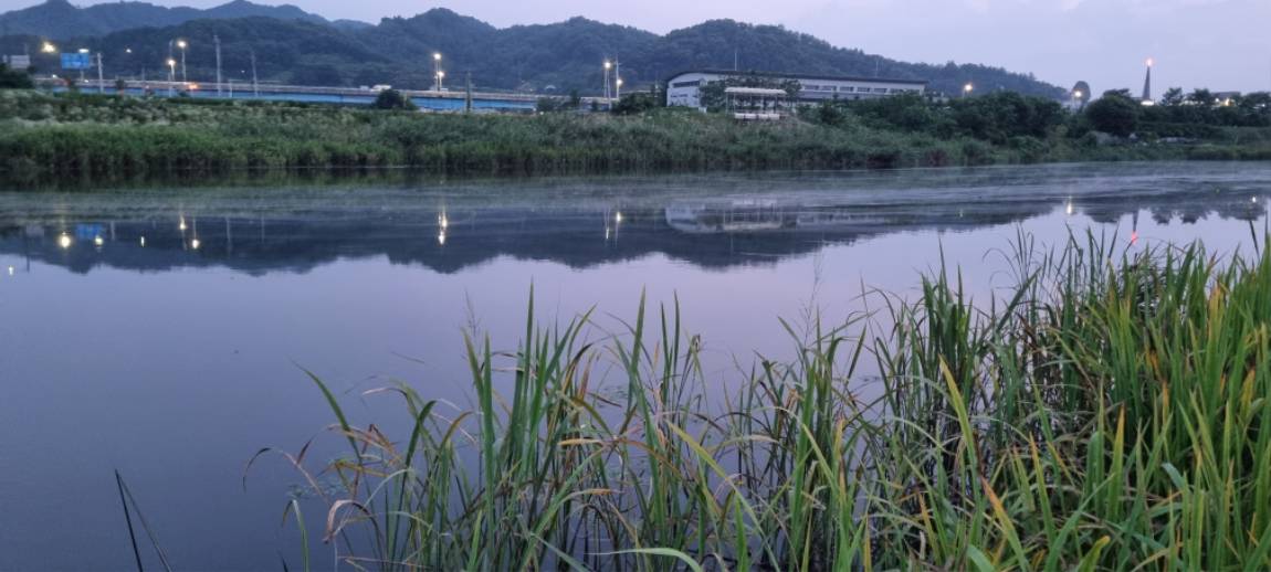 20250708_200436.jpg