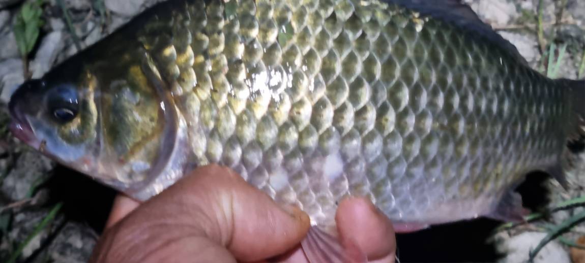 20250710_221810.jpg