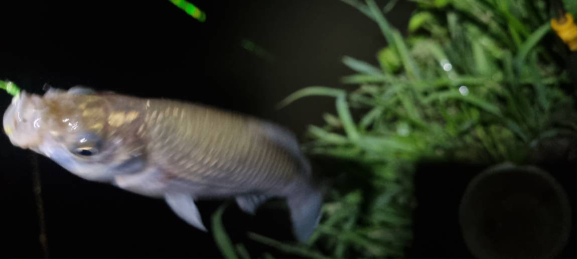 20250725_213242.jpg