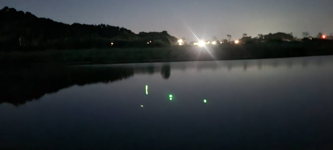20250728_203133.jpg