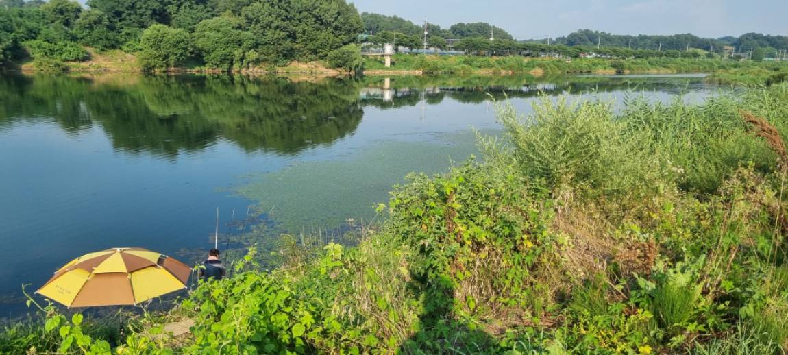 20250802_172106.jpg