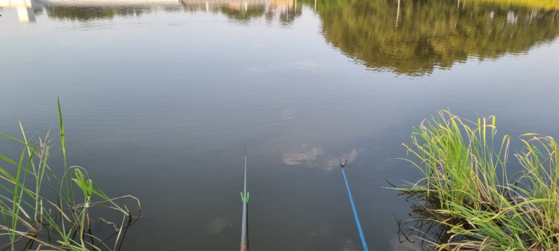 20250802_180609.jpg