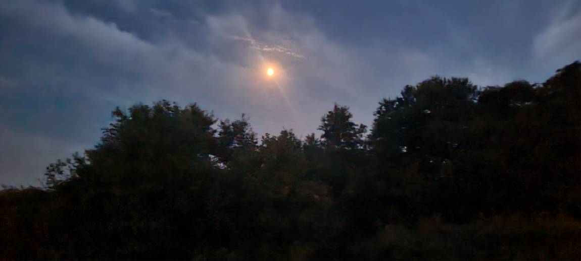 20250802_201740.jpg