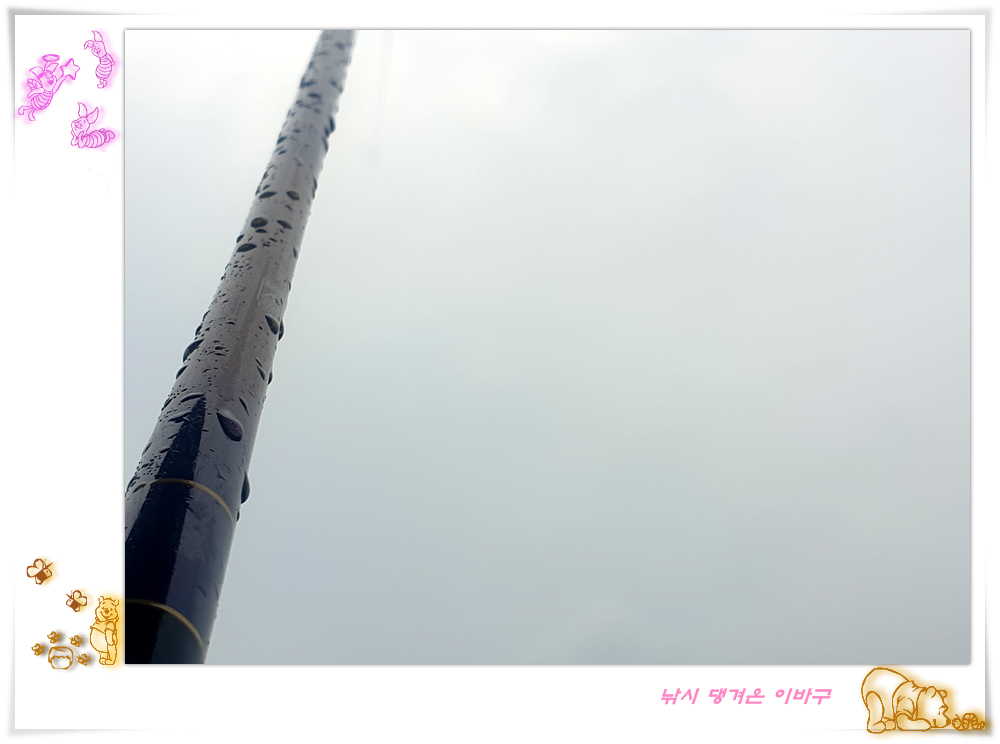 20250803_170656.jpg