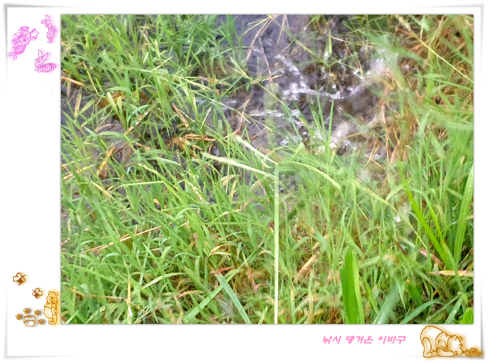 20250803_181050.jpg