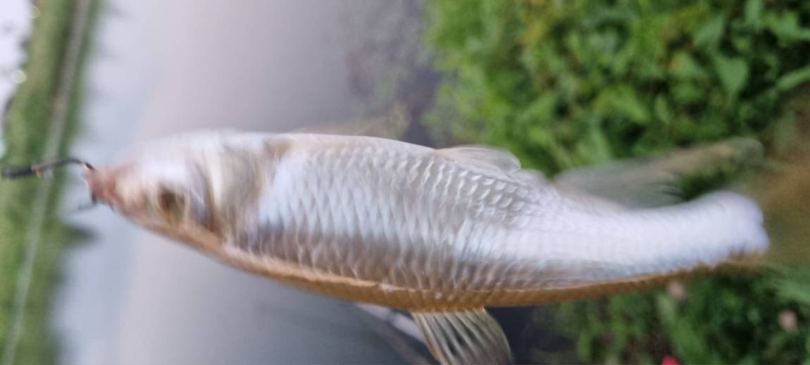 20250810_193348.jpg