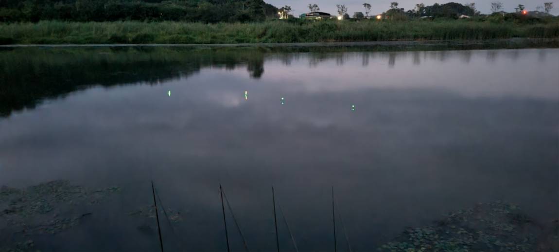 20250810_195854.jpg