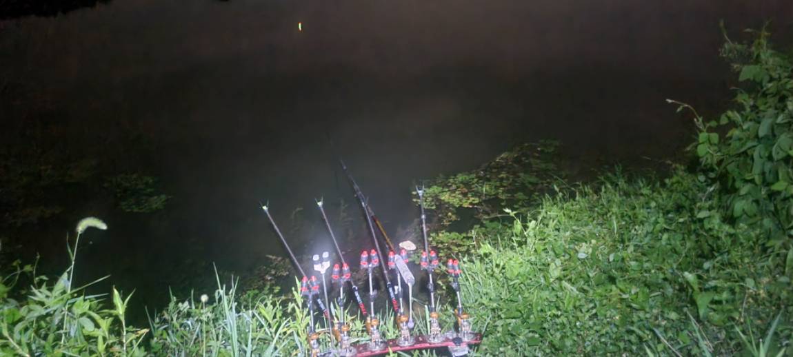 20250811_003727.jpg