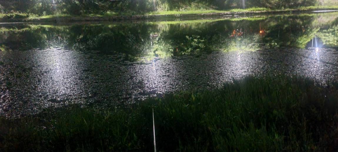 20250811_015421.jpg